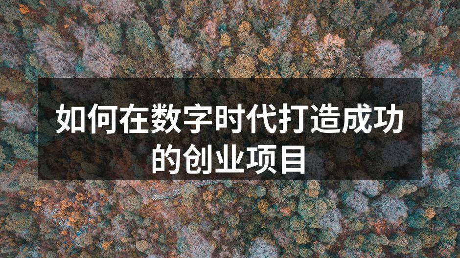 数字创业的无穷可能